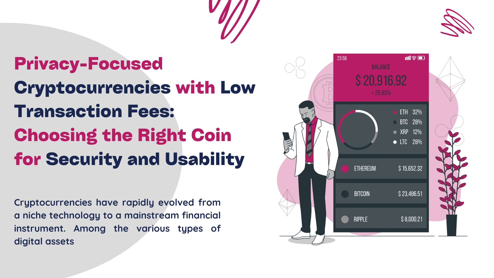 Privacy-Focused Cryptocurrencies with Low Transaction Fees